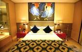 Туры в отель Radisson Blu Faridabad