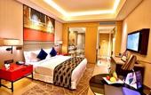 Туры в отель Radisson Blu Faridabad