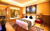 Туры в отель Radisson Blu Faridabad