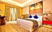 Туры в отель Radisson Blu Faridabad