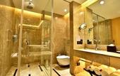 Туры в отель Radisson Blu Faridabad