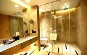 Туры в отель Radisson Blu Faridabad