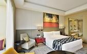 Туры в отель Radisson Blu Faridabad