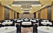 Туры в отель Radisson Blu Faridabad
