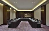 Туры в отель Radisson Blu Faridabad