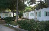 Туры в отель Camping 3 Estrellas