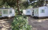 Туры в отель Camping 3 Estrellas