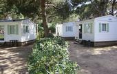 Туры в отель Camping 3 Estrellas