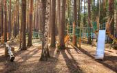 Туры в отель «Лес» загородный клуб