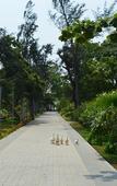 Туры в отель WelcomHotel Kences Palm Beach -Member ITCHotel Group
