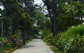 Туры в отель WelcomHotel Kences Palm Beach -Member ITCHotel Group