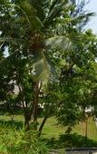 Туры в отель WelcomHotel Kences Palm Beach -Member ITCHotel Group