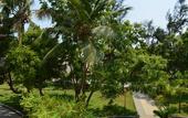 Туры в отель WelcomHotel Kences Palm Beach -Member ITCHotel Group