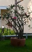 Туры в отель WelcomHotel Kences Palm Beach -Member ITCHotel Group