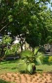 Туры в отель WelcomHotel Kences Palm Beach -Member ITCHotel Group