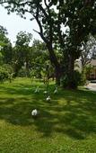 Туры в отель WelcomHotel Kences Palm Beach -Member ITCHotel Group