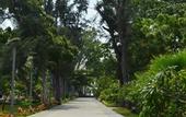 Туры в отель WelcomHotel Kences Palm Beach -Member ITCHotel Group