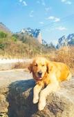 Туры в отель Zhangjiajie Tongfu Inn