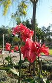Туры в отель Willaria country house