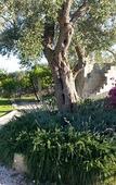 Туры в отель Willaria country house