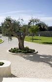 Туры в отель Willaria country house