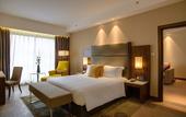 Туры в отель Crowne Plaza Nairobi Airport by IHG