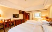 Туры в отель Vienna International Hotel (Xi'an Big Wild Goose Pagoda Datang Everbright City)