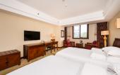 Туры в отель Vienna International Hotel (Xi'an Big Wild Goose Pagoda Datang Everbright City)