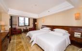 Туры в отель Vienna International Hotel (Xi'an Big Wild Goose Pagoda Datang Everbright City)