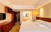 Туры в отель Vienna International Hotel (Xi'an Big Wild Goose Pagoda Datang Everbright City)