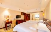 Туры в отель Vienna International Hotel (Xi'an Big Wild Goose Pagoda Datang Everbright City)