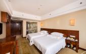 Туры в отель Vienna International Hotel (Xi'an Big Wild Goose Pagoda Datang Everbright City)