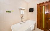 Туры в отель Vienna International Hotel (Xi'an Big Wild Goose Pagoda Datang Everbright City)