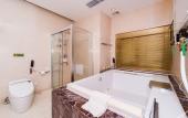 Туры в отель Vienna International Hotel (Xi'an Big Wild Goose Pagoda Datang Everbright City)