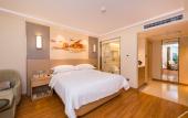 Туры в отель Vienna International Hotel (Xi'an Big Wild Goose Pagoda Datang Everbright City)