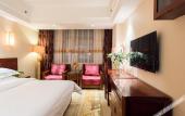 Туры в отель Vienna International Hotel (Xi'an Big Wild Goose Pagoda Datang Everbright City)