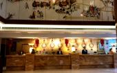Туры в отель Vienna International Hotel (Xi'an Big Wild Goose Pagoda Datang Everbright City)
