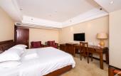 Туры в отель Vienna International Hotel (Xi'an Big Wild Goose Pagoda Datang Everbright City)