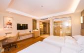 Туры в отель Vienna International Hotel (Xi'an Big Wild Goose Pagoda Datang Everbright City)