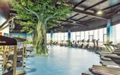 Туры в отель Jinyi International Hotel