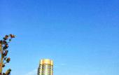 Туры в отель Jinyi International Hotel