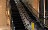 Туры в отель Jinyi International Hotel