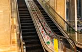 Туры в отель Jinyi International Hotel