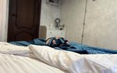 Туры в отель «Malkova Apartments» \/ «Малкова на Московском проспекте» апартаменты