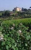 Туры в отель Relais Villa Grazianella - UNA Esperienze