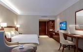 Туры в отель Vienna Hotel (Shenzhen Bao'an Centre Liutang Metro Station)
