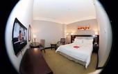 Туры в отель Vienna Hotel (Shenzhen Bao'an Centre Liutang Metro Station)