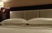 Туры в отель Vienna Hotel (Shenzhen Bao'an Centre Liutang Metro Station)