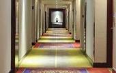 Туры в отель Vienna Hotel (Shenzhen Bao'an Centre Liutang Metro Station)