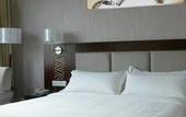 Туры в отель Vienna Hotel (Shenzhen Bao'an Centre Liutang Metro Station)
